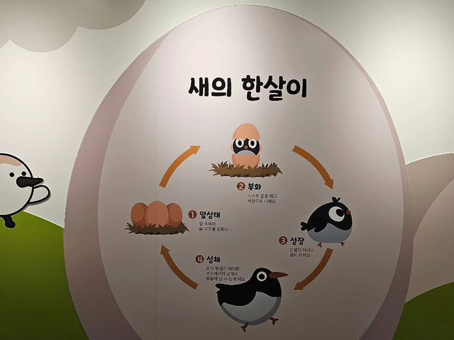 대한민국 충청남도 서천군 조류 생태 전시관 입니다.