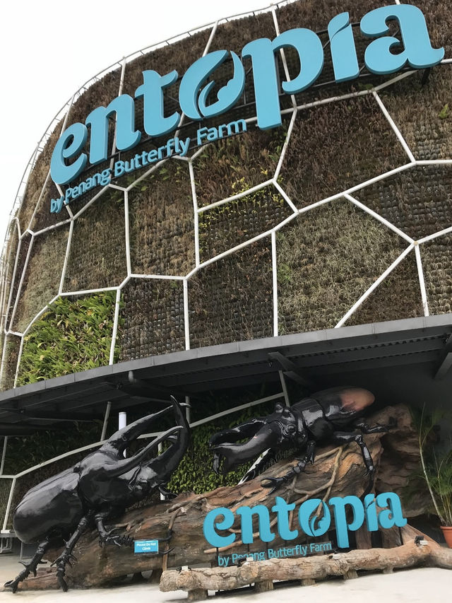 Fluttering Romance: A Couple’s Trip to Entopia Butterfly Farm 🦋❤️