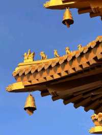 🏯A forbidden temple 
