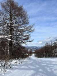 ❄️🏔️ รีวิว APPI Kogen Ski Resort Summit Station