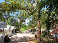 Gunung Lambak Kluang Johor,it is free to explore the nature