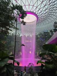 3D Garden in the city (nature, culture and food immersion)