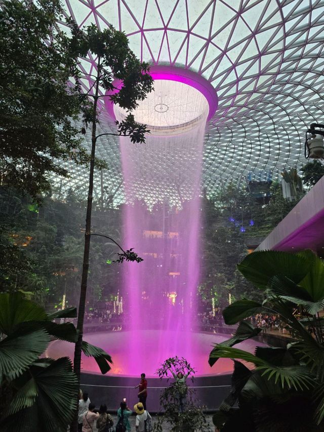 3D Garden in the city (nature, culture and food immersion)