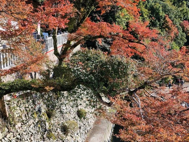 紅楓季漫遊日本箕面山〔瀧安寺〕，隱藏在山林間的絕美秘境