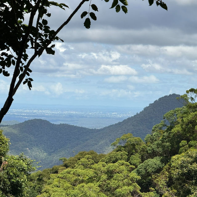 Wide Trails and Wild Beauty: Exploring D’Aguilar National Park