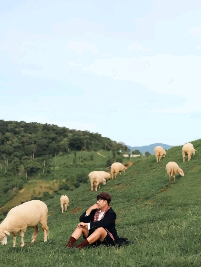 น๊องงง