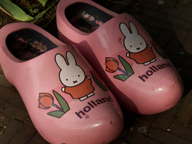 春限定｜キューケンホフ公園のチューリップ畑