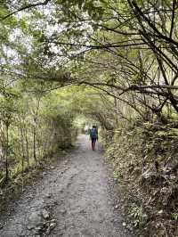 宜蘭抹茶山健行（台灣）
