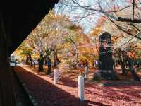 วัดโทฟุคุจิ (Tofukuji Temple) 