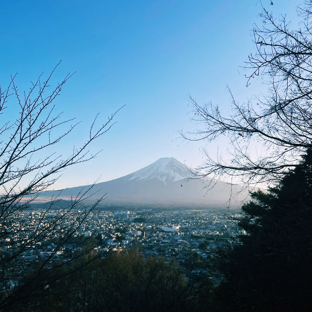 富士吉田市酒店分享