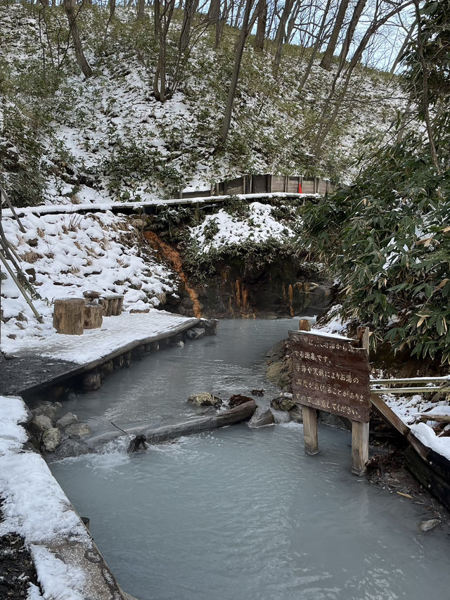 【北海道】1泊2日で登別温泉に行ってみた♨️❄️