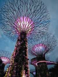 Gardens by the Bay, a must-visit attraction in Singapore!