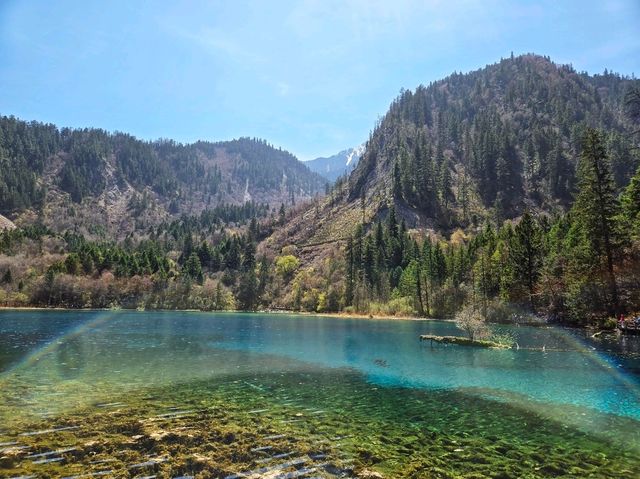 Step into a fairy tale at Jiuzhaigou!