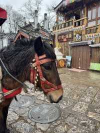 🇻🇳시간이 멈춘 도시, 리장 고성에서 느린 여행🐎