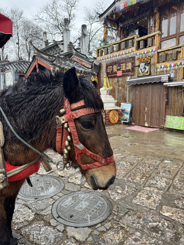🇻🇳시간이 멈춘 도시, 리장 고성에서 느린 여행🐎