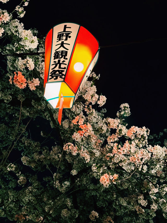 上野公園夢中的夜櫻：心靈的溫暖之舞