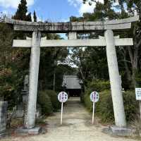 🇯🇵【愛媛県】地元民から人気！三島神社⛩️五穀豊穣・家内安全のご利益！