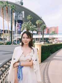 霓虹幻境：拉斯維加斯的藝術、美食與音樂之旅！