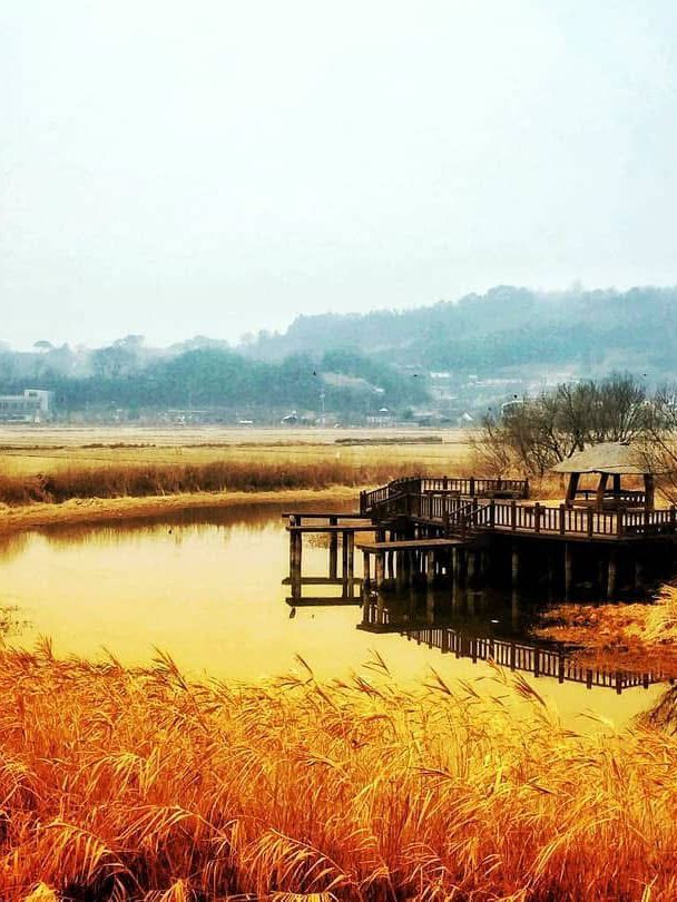 Suncheon Bay Wetland Reserve 