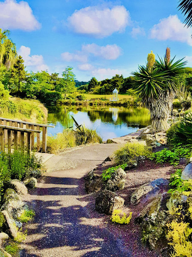 Spring Florals: Auckland Botanic Gardens