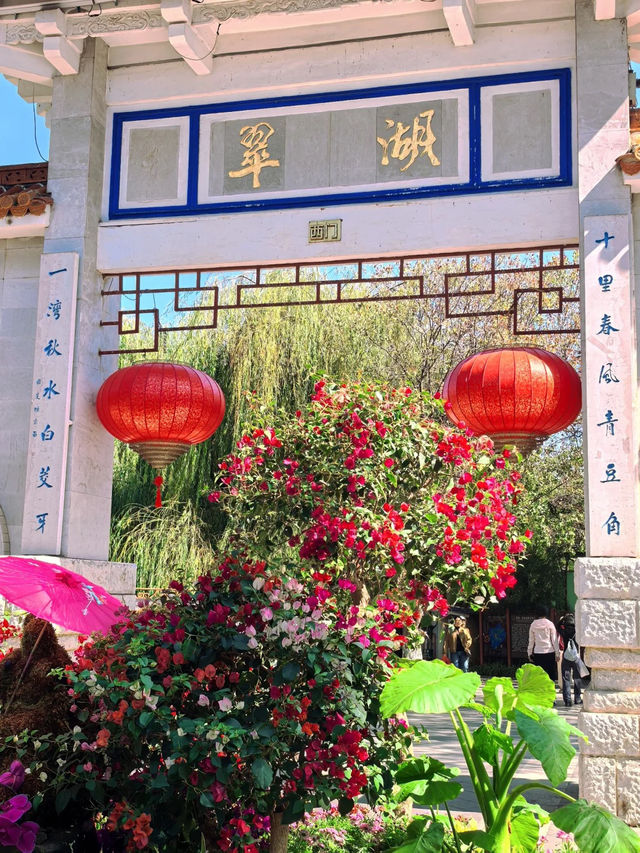 昆明·翠湖公園｜城市中的一片靜謐綠洲
