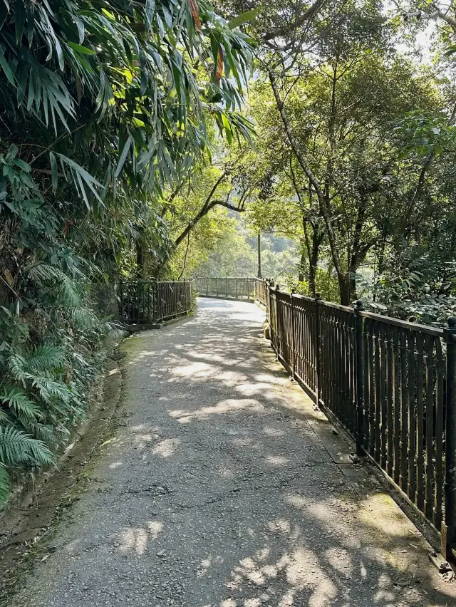 Victoria Peak Trail