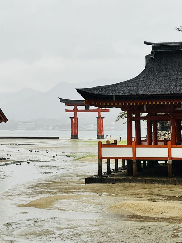 ⛩️ ✅厳島神社（Itsukushima Shrine）攻略ガイド 🦌
