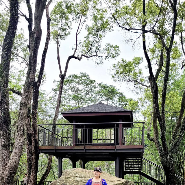 去嘉義愛情大草原尋浪漫