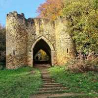fantastic spot for a family day out