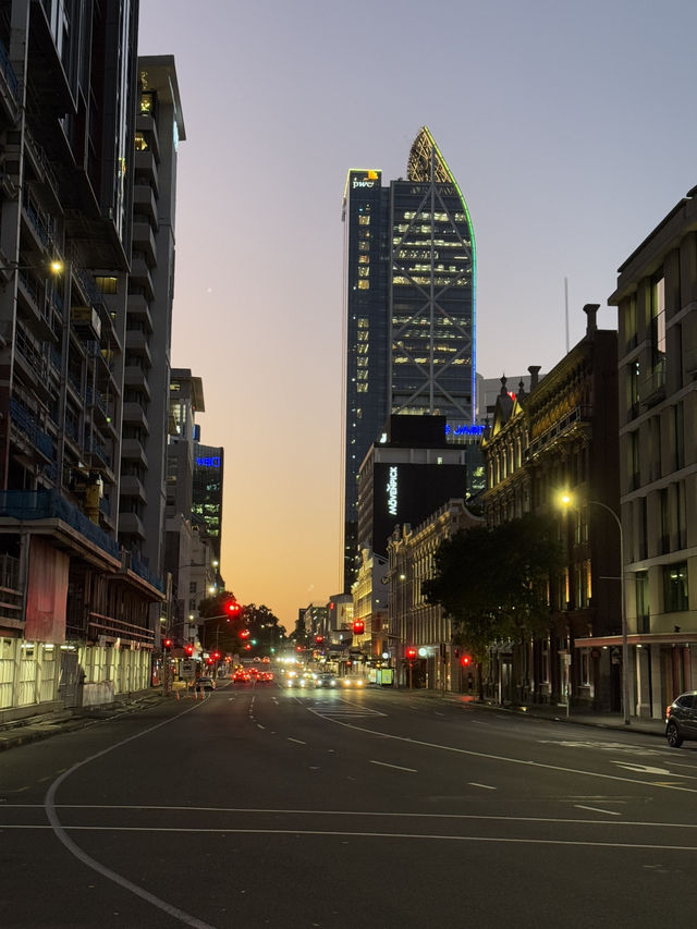Fall In Love With Downtown Auckland, An Architectural Wonderland 🏢🏙️🌃