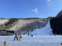 แนะนำโรงแรม Tokyu Rei Hotel Nagano ในนากาโนะ 