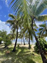 Nadi 5 Days Itinerary