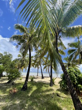 Nadi 5 Days Itinerary