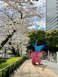 Cherry Blossoms in Full Bloom at Tokyo Garden Terrace Kioicho