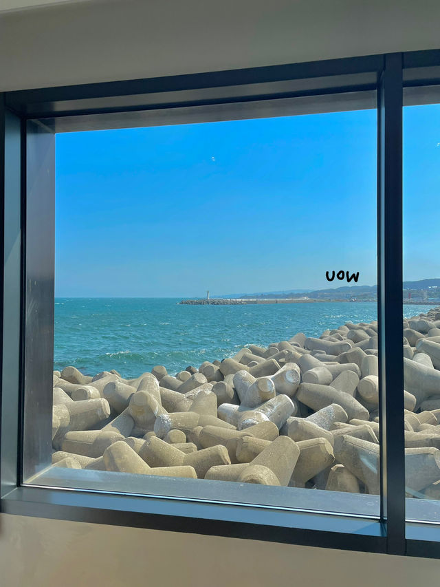 낭만 최고, 포항 바다 여행🦋🌊