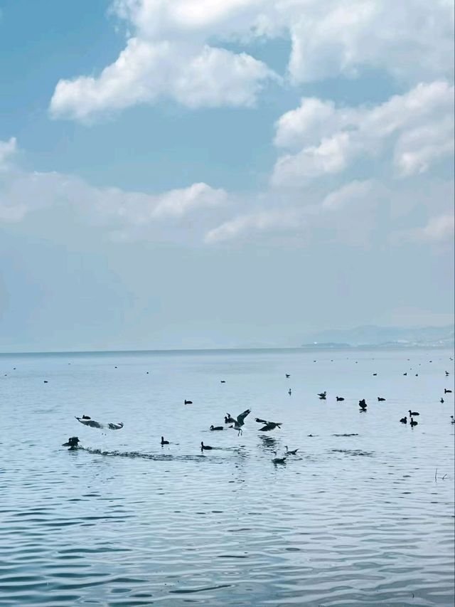 Erhai Lake: A Serene Escape into Nature and History