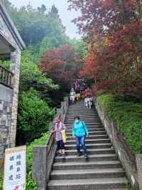 # 太平山國家森林遊樂區- 宜蘭縣大同鄉