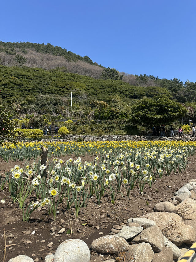 봄바람 맞으며 힐링~ 거제 공곶이💛 