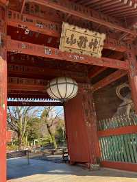 Spring Outing: Gokokuji Temple🌸