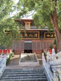 Breeze Over the Yangtze: Spring at Yellow Crane Tower