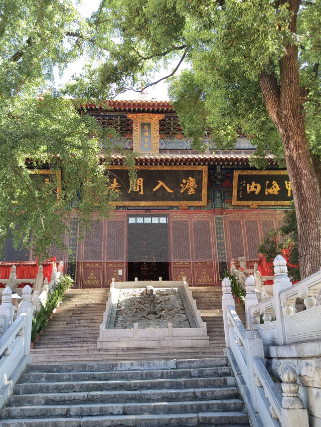 Breeze Over the Yangtze: Spring at Yellow Crane Tower