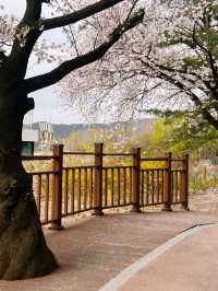 청주 도심 속 감성 뷰포인트, 수암골 전망대🤍💛