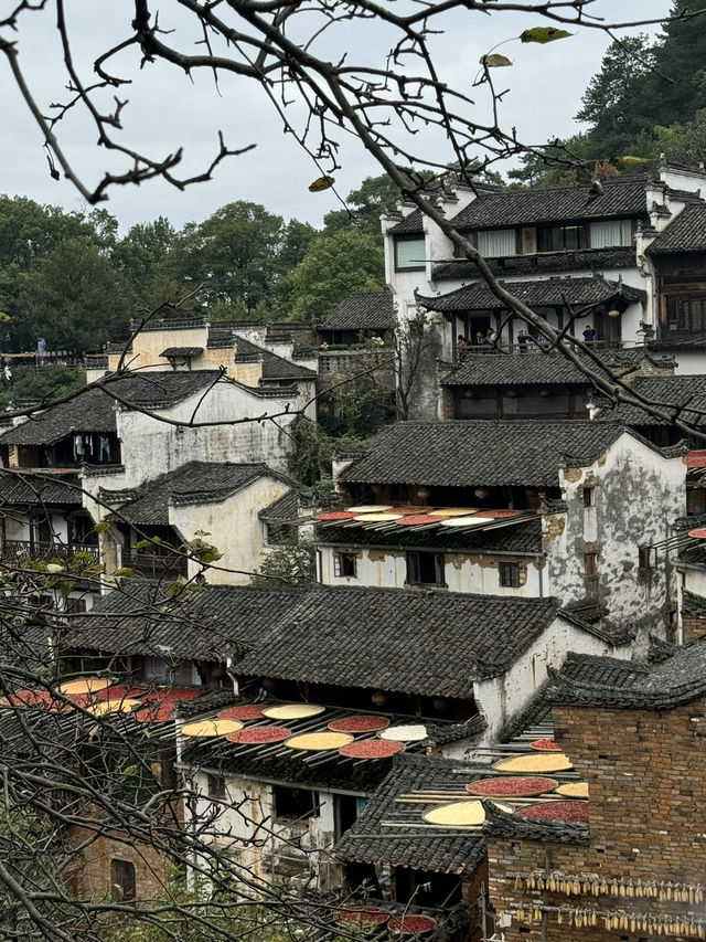Becoming the Autumn Sun-Drying Girl: My Picture-Perfect Day in Huangling