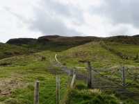 Spring Road Trip Through County Antrim: A Scenic Journey