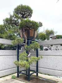 佛山梁園！一步一景，盡顯嶺南園林韻味