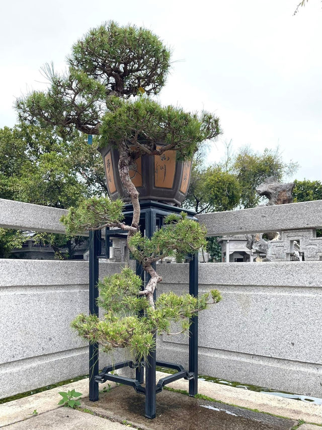 佛山梁園！一步一景，盡顯嶺南園林韻味