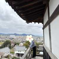 犬山城：櫻花簇擁的古城之美 🏯🌸