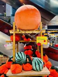 Q Packet: A Wonderland of Whimsy with a Heart for the Planet