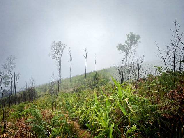 บทพิสูจน์ใจ ก่อนพบสวรรค์ลานสน 🌲