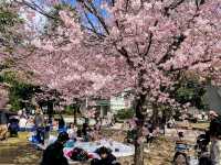 大阪賞櫻-花博公園鶴見綠地，世界各國庭園造景